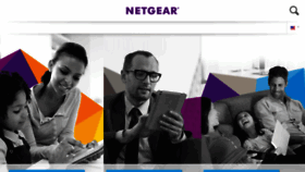 What Netgear.ru website looked like in 2017 (6 years ago)