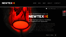 What Newtex.com website looked like in 2017 (6 years ago)