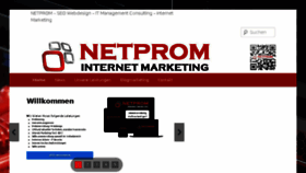 What Netprom.org website looked like in 2017 (6 years ago)