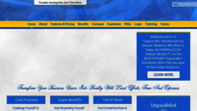 What Netbusinessace.com website looked like in 2017 (6 years ago)