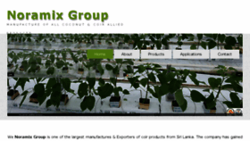 What Noramixgroup.com website looked like in 2017 (6 years ago)