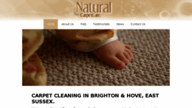 What Naturalcarpetcare.co.uk website looked like in 2017 (6 years ago)