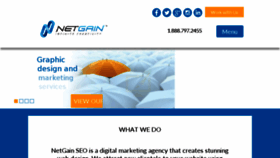 What Netgainseo.com website looked like in 2017 (6 years ago)