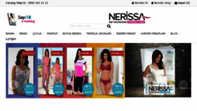 What Nerissanetworking.com website looked like in 2017 (6 years ago)