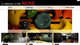 What Nose2.org website looked like in 2017 (6 years ago)