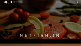 What Netfish.in website looked like in 2017 (6 years ago)