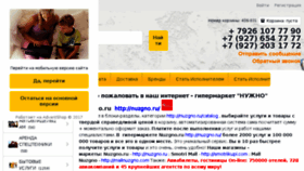 What Nuzgno.ru website looked like in 2017 (6 years ago)