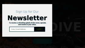 What Nedive.com website looked like in 2017 (8 years ago)