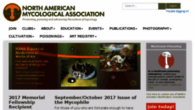 What Namyco.org website looked like in 2017 (6 years ago)