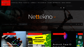 What Nettekno.net website looked like in 2017 (8 years ago)