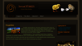 What Nevzatturken.net website looked like in 2017 (6 years ago)