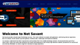What Netsavant.org website looked like in 2017 (8 years ago)