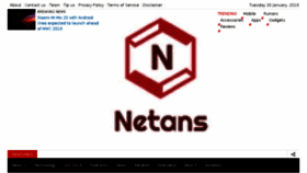 What Netans.com website looked like in 2018 (6 years ago)