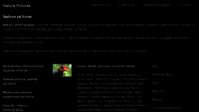 What Nature-pictures.org website looked like in 2018 (8 years ago)