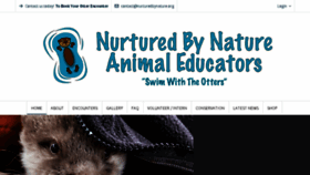What Nurturedbynature.org website looked like in 2018 (6 years ago)