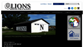 What Newaygo.net website looked like in 2018 (8 years ago)