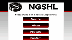 What Ngshl.com website looked like in 2018 (5 years ago)