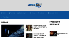 What Nettekiblog.net website looked like in 2018 (6 years ago)