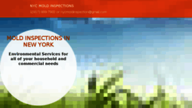 What Nycmoldinspections.com website looked like in 2018 (5 years ago)