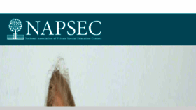What Napsec.org website looked like in 2018 (5 years ago)
