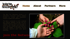 What Nyphenologyproject.org website looked like in 2018 (7 years ago)