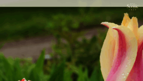 What Newsceniccafe.com website looked like in 2018 (7 years ago)