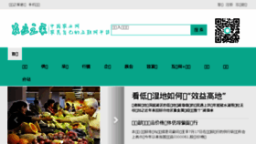 What Nyzj.cn website looked like in 2018 (5 years ago)