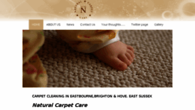 What Naturalcarpetcare.co.uk website looked like in 2018 (5 years ago)