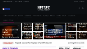 What Netgez.com website looked like in 2018 (5 years ago)