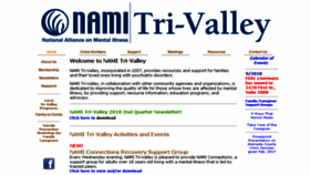 What Nami-trivalley.org website looked like in 2018 (5 years ago)