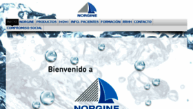 What Norgine.es website looked like in 2018 (5 years ago)