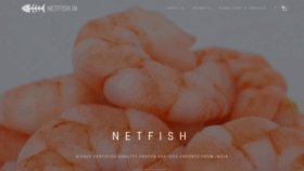 What Netfish.in website looked like in 2018 (5 years ago)