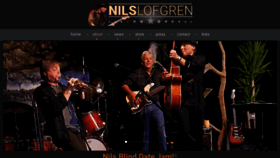 What Nilslofgren.com website looked like in 2018 (5 years ago)