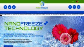 What Nano-freeze.com website looked like in 2018 (5 years ago)