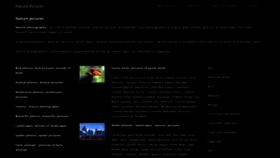 What Nature-pictures.org website looked like in 2019 (7 years ago)