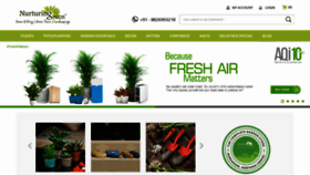 What Nurturinggreen.in website looked like in 2019 (5 years ago)