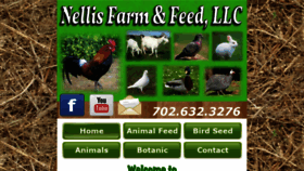 What Nellisfarm.com website looked like in 2019 (5 years ago)