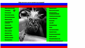 What Neon-san.ru website looked like in 2019 (5 years ago)