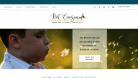 What Notconsumed.com website looked like in 2019 (5 years ago)