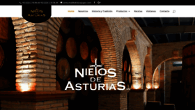 What Nietosdeasturias.com website looked like in 2019 (5 years ago)