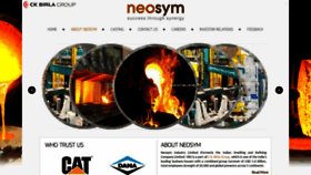 What Neosym.com website looked like in 2019 (5 years ago)
