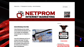 What Netprom.org website looked like in 2019 (5 years ago)