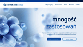 What Normobaria-orzesze.pl website looked like in 2019 (4 years ago)