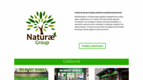 What Naturaegroup.hu website looked like in 2019 (4 years ago)