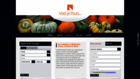 What Nijland.nl website looked like in 2019 (4 years ago)