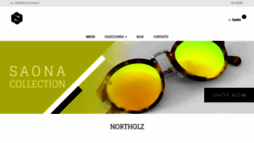What Northolz.com website looked like in 2019 (4 years ago)