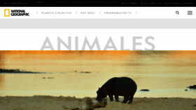 What Nationalgeographic.es website looked like in 2019 (4 years ago)