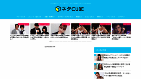 What Netacube.com website looked like in 2019 (4 years ago)