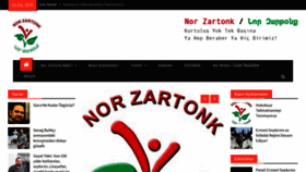 What Norzartonk.org website looked like in 2019 (4 years ago)