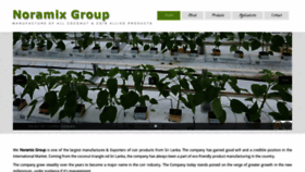 What Noramixgroup.com website looked like in 2019 (4 years ago)